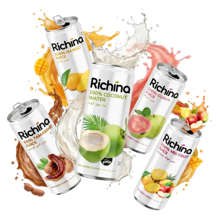 Richina 100% fruit juice cans: mango, coconut water, guava, tamarind and mix fruit